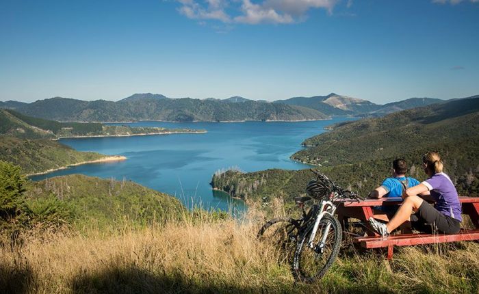 Touring New Zealand: The Queen Charlotte Track – BurritoWagon